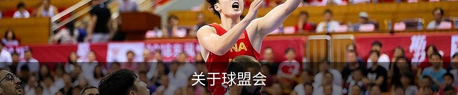 关于球盟会