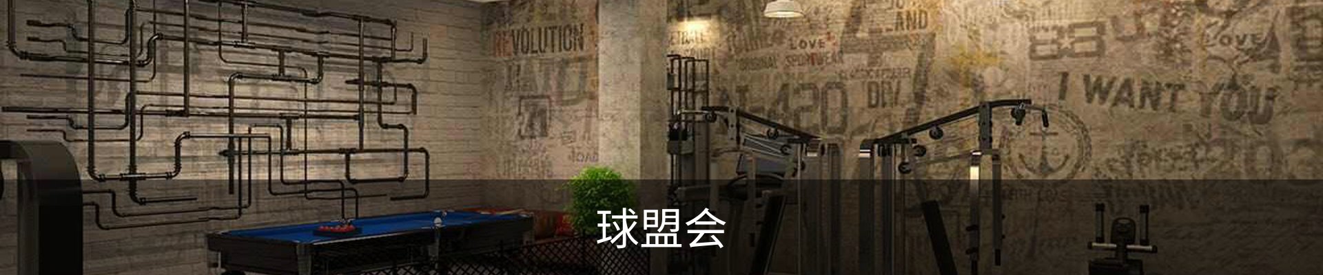 球盟会